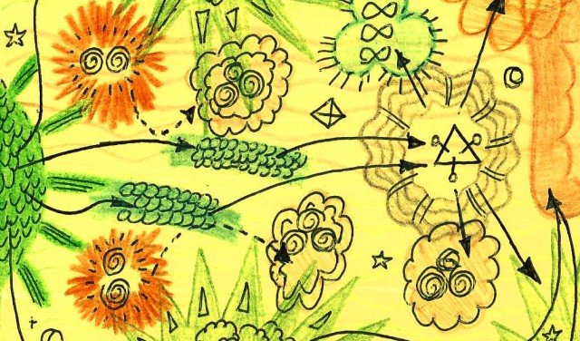 Cellular Respiration 