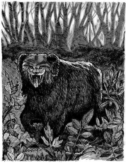 Ozark Howler. Micro pigment ink on drawing paper. 6.5" x 5"