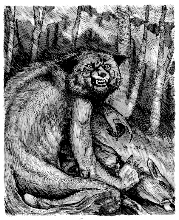 Michigan Dog Man. Micro pigment ink on drawing paper. 6.5" x 5"